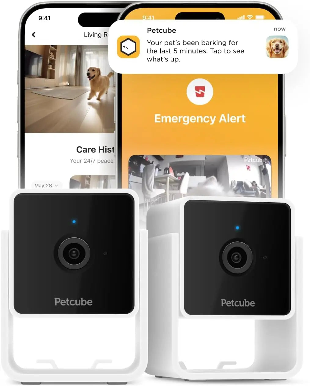 360° Pet Camera with App,1080P HD Video, Two-Way Audio, Night Vision & AI Alerts