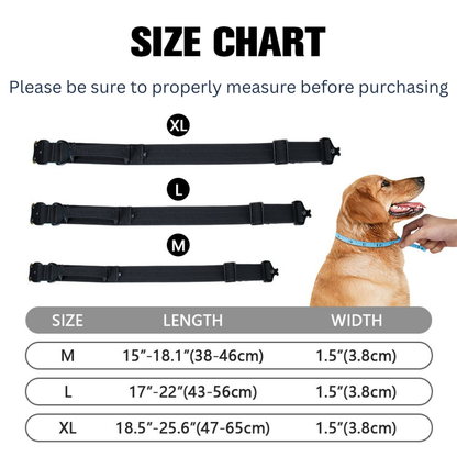 Sleek-Lux Padded Dog Collar