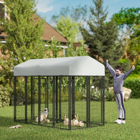 Outdoor Dog Kennel with Two-Room Design