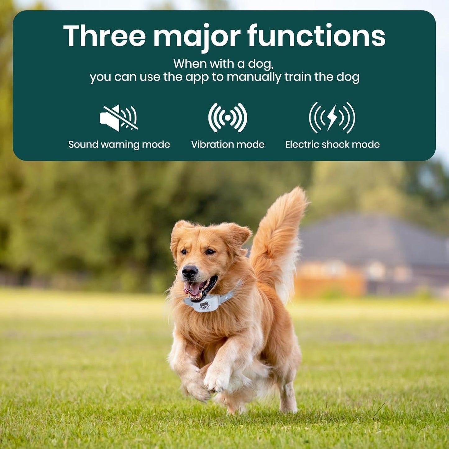 GPS Dog Collar Wireless Fence Training Waterproof App Control No Subscription