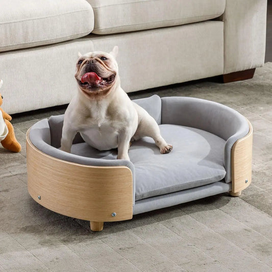 Modern Elevated Pet Sofa Bed with Wood Legs, Velvet Cushion, Washable Cover