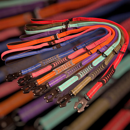 Heavy Duty Quick-Release Bungee Leash (Absorbs Pulls)